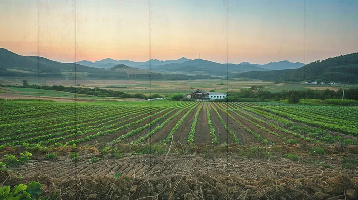 신용카드 연체 대출