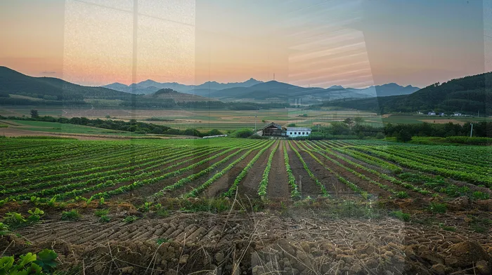 개인파산변호사비용