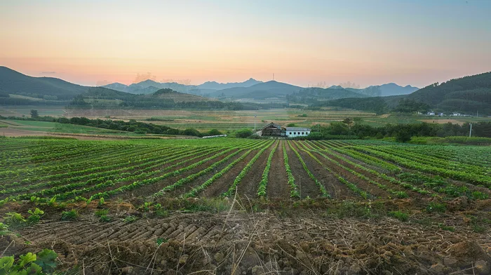 개인회생 신청 사례
