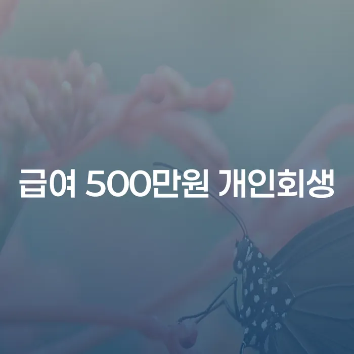 급여 500만원이면 개인회생이 가능할까?